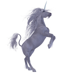 Obraz na płótnie Canvas Unicorn over White