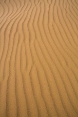 Fototapeta na wymiar Sand dunes of Tata in the Sahara Desert, Morocco.