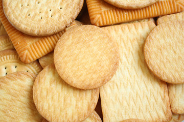 Biscuit