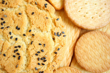 Biscuit