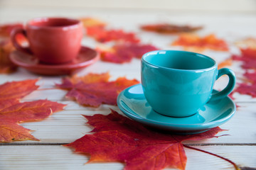 coffee cup on the autumn fall  leaves