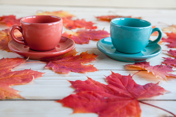coffee cup on the autumn fall  leaves