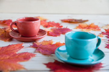coffee cup on the autumn fall  leaves