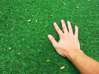 hand on green grass