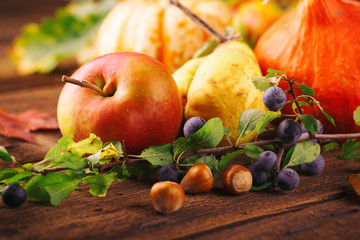 Herbst - Früchte und Gemüse - Stillleben