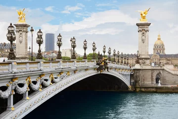 Photo sur Plexiglas Pont Alexandre III Pont Alexandre III à Paris le matin, France