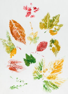 colorful leaf imprint