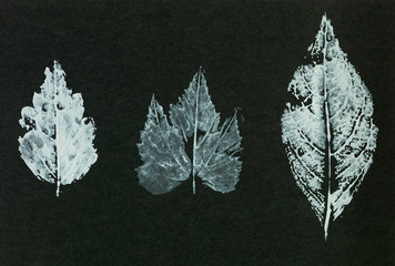 seamless leaf imprint