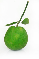 Green orange fruit in asia on white