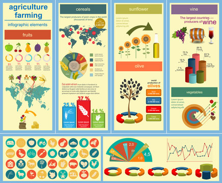 Agriculture, farming infographics
