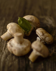 Fresh champignons with basil