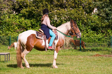 Mädchen reitet auf einem Pony Pferd