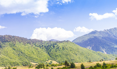 Fototapeta na wymiar Beautiful view of alpine meadows. Upper Svaneti, Georgia, Europe