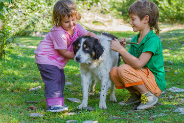 Naklejka na ściany i meble two kids - boy and girl - with dog outdoors
