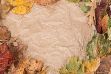 Fototapeta na wymiar frame by dried autumn leaves with copy space