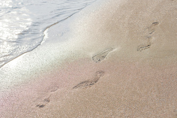 Footprints of a person in the wet sand of a beach