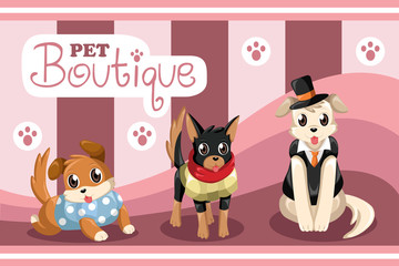 Pet boutique