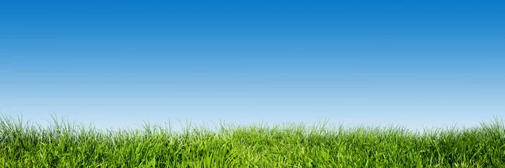 Selbstklebende Fototapete Frühling Grünes Gras auf blauem klarem Himmel, Frühlingsnaturthema. Panorama