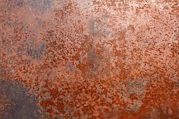rost