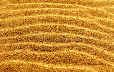 Sand texture.Dented wave of the blow of the wind.