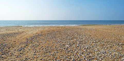 North Sea along a sunny beach in summer