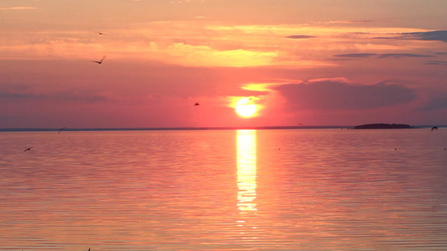 evening sea sunset in the wild nature with seagulls