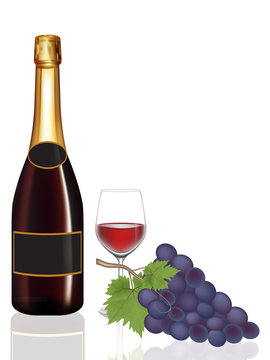 Bottle wine,Glass wine and grape,Vector illustration