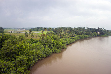 Fototapeta na wymiar Green countryside in southern India
