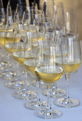 White Wine Glasses