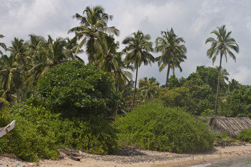 Fototapeta na wymiar Paradise at a tropical beach Palolem, Goa, India
