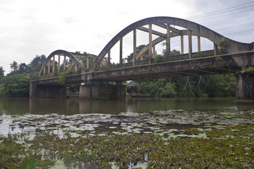 Bridge over a canal in Backwaters, Kerala, India