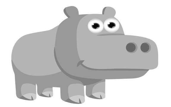 hippo cartoon