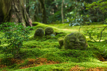 Fototapeta premium Sanzen-in Kioto, Kioto