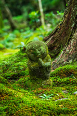 京都　三千院　Sanzen-in　Kyoto