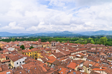 Fototapeta na wymiar Medieval cityscape of Lucca, small town in Tuscany