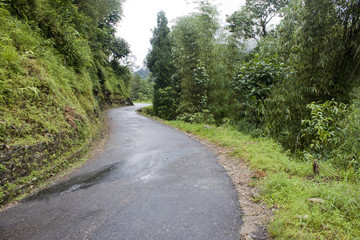 Fototapeta na wymiar Road through rain forest in Sikkim, India