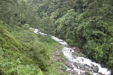 Fototapeta na wymiar River in Sikkim jungle, India