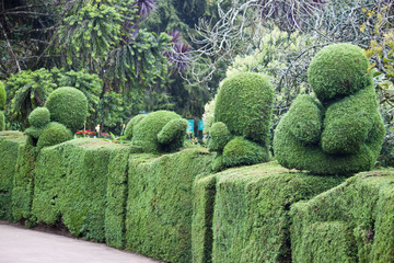Animal shaped bushs in botanical garden in Ooty, India