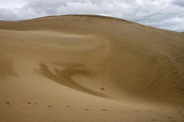 Sand dune at Thar desert in Rajasthan, India