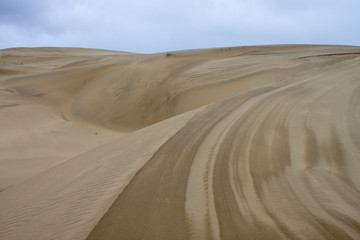 Sand dunes at Thar desert in Rajasthan, India