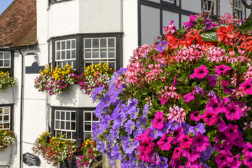 Fototapeta na wymiar blossoming flowers and old houses, Henley on Thames