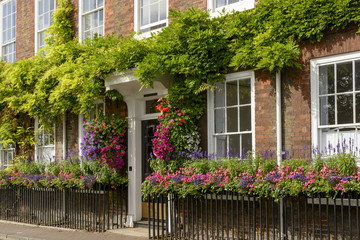Fototapeta na wymiar flowers on bricks facade, Henley on Thames