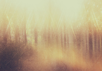 background image of light burst among trees. image is retro filt