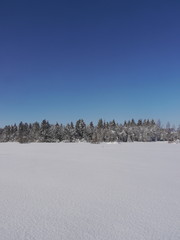 Fototapeta na wymiar snow landscape winter