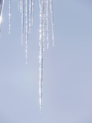 Obraz na płótnie Canvas icicles icicle winter
