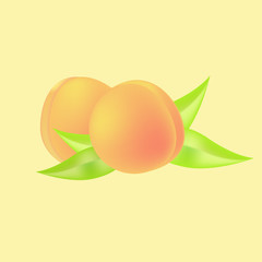 apricot background