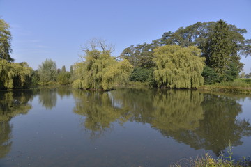 Fototapeta na wymiar Reflet sur le petit étang du domaine de Hofstade