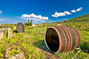 Naklejka premium Wine barrels on Stari Grad plain