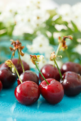 fresh cherries