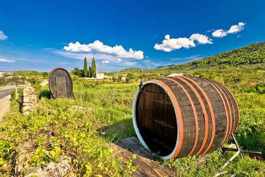 Wine barrels on Stari Grad plain